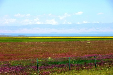 DSC_8954-2.jpg