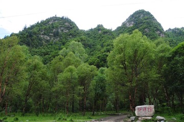 DSC_9476.JPG