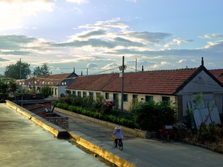CF003587