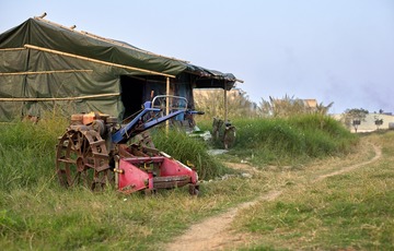 CF006922