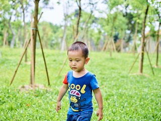 CF001254_1