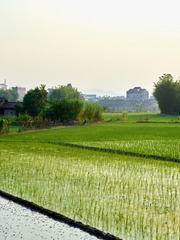CF002756