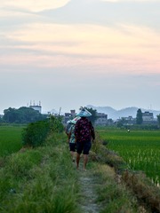 CF002801 3