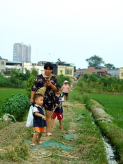 CF002805 1