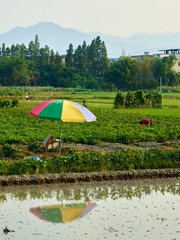 CF002757 1