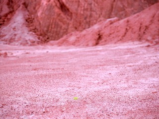 CF001314 4