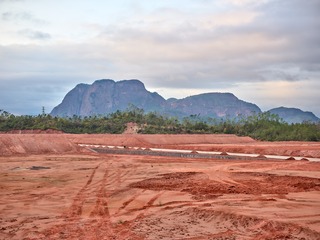 CF001333