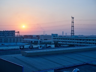 CF006025