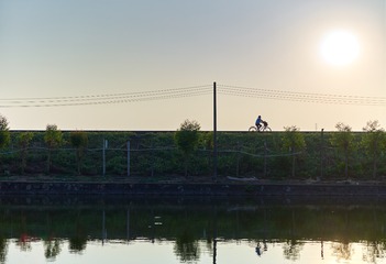 CF006943