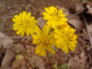 2013-03-28 12.06.37