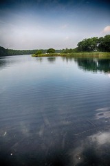 IMG_9006.jpg