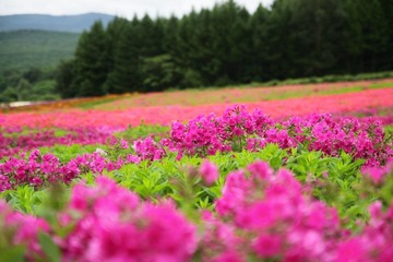IMG_9080.JPG