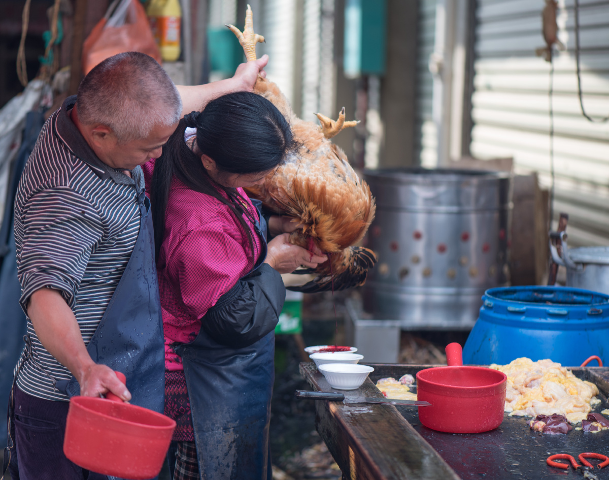 菜市场里杀鸡的夫妻,公鸡太大,妻子力气不够,丈夫在后面帮她托了一把