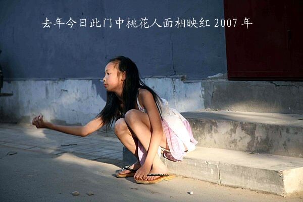 胡 (28)<br />