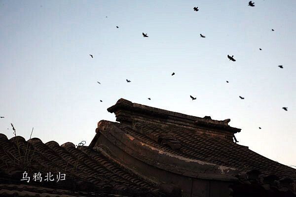 胡 (33)<br />