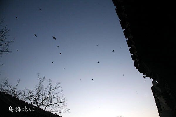胡 (36)<br />