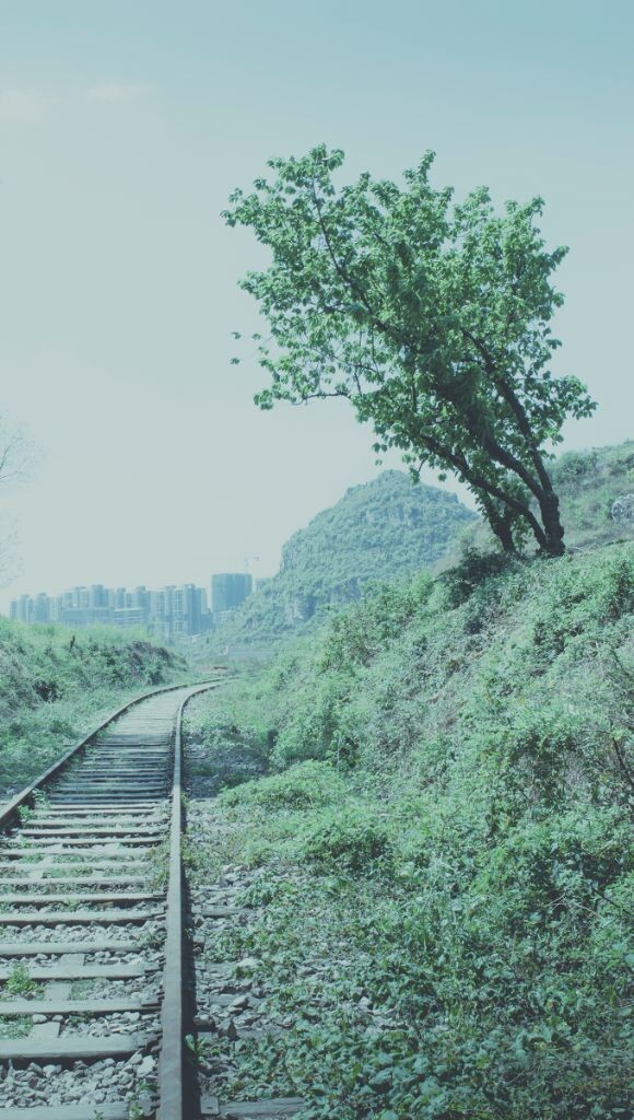 《铁轨》<br />
再远，也只不过十万八千里<br />
再近，也近不过与自己为邻<br />
像现在<br />
我从远方坐着火车<br />
转过弯回来，树叶刚好茂盛<br />
 <br />
哦，我是远方的过客<br />
哦，我是一棵树的亲人<br />
（文：嘎嘎） 