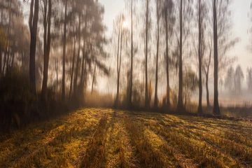 朦胧的晨曦