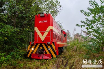 499369