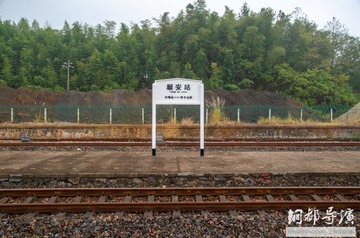 499359