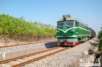 499391
