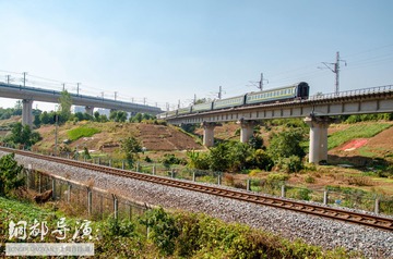 499401