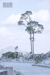 _DSC9316