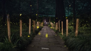夜半烛火