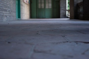 IMGP3937.jpg