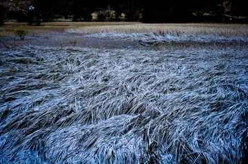 20111110-DSC04333.jpg