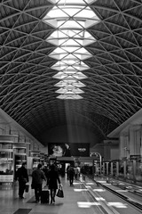 20111109-DSC04315.jpg