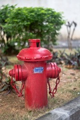 DSC05541.jpg