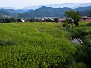 20120908-IMG_0902.jpg