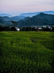 20120908-IMG_0913.jpg