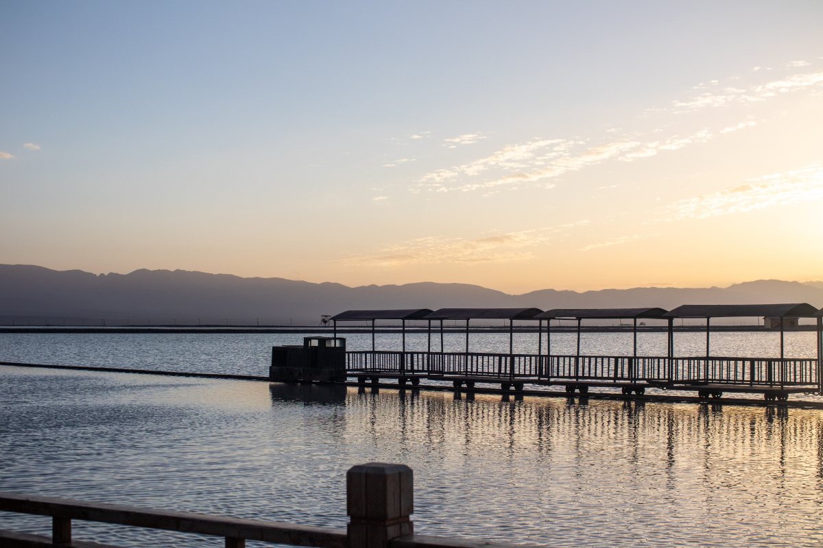Lisha熊熊熊熊熊