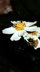 00C09899-163A-4C6D-9733-3D868B9EEA12/L0/001