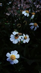 7227886F-1ED8-49B0-9B66-3729FDD0AA2A/L0/001
