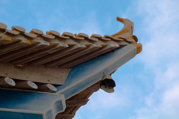 DSC_9733.jpg