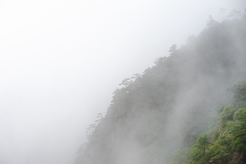 “DSC_9467”为智能对象-1