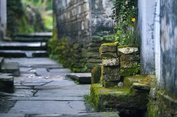 “DSC_0177”为智能对象-1