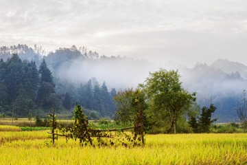 “DSC_0145”为智能对象-1