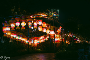 大尾灯龙