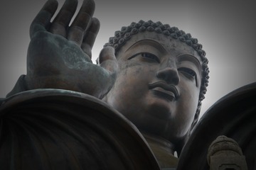 P1000313_