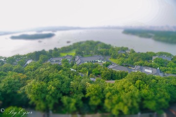 DSC_1867_