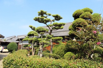 IMG_1893.JPG