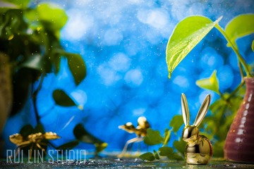 DSC00588-s