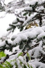 DSC_6357.jpg