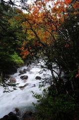 DSC_6409.jpg