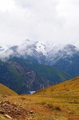 DSC_6530.jpg