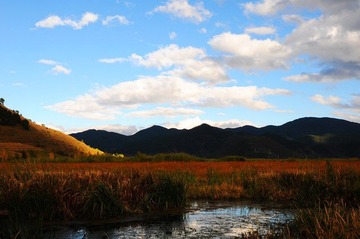DSC_6779.jpg